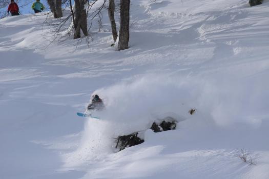 12593485_844154312363898_6838645058901828131_o