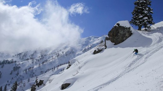 11054358_385790924926254_7092728576311017306_n_feature image