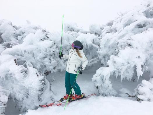 13558740_1008833842545234_7176999983582623084_o