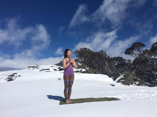 21100282_10155822255537189_1854933555_n