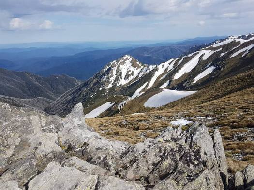 23434945_1941861132492471_7278949288275944944_n