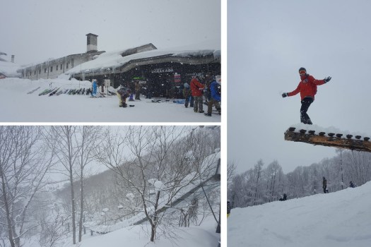 28217190_869786160919_81989922_o