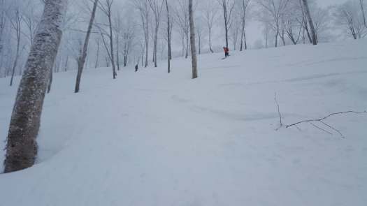 30261513_879230090209_1729299355451523072_n